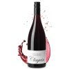 Giesen Estate Clayvin Syrah 2019 (Organic Wine)