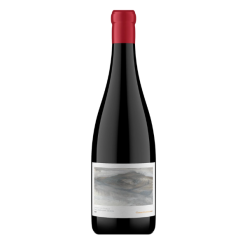 Gabrielskloof Syrah on Shael 2022